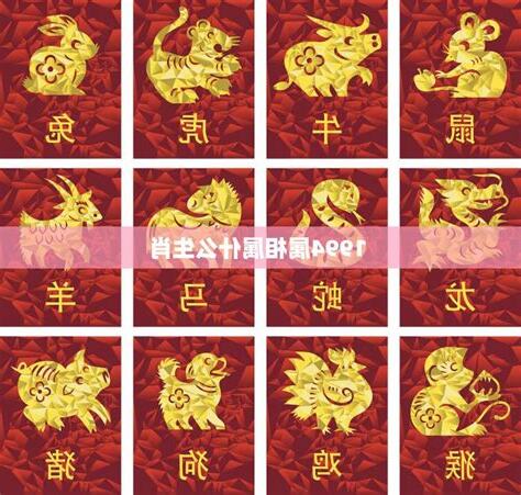 生肖 1994